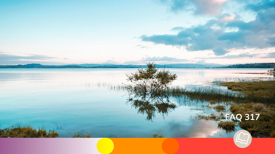 FAQ 317 - La pensée de l'éternité