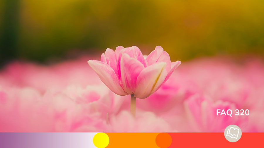 FAQ 320 - Le salut, une oeuvre divine