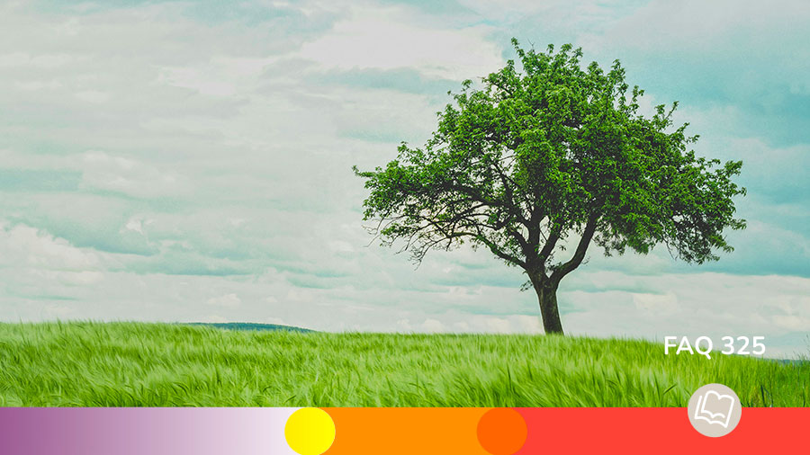 FAQ 325 - Être inebranlable dans la foi en Jésus