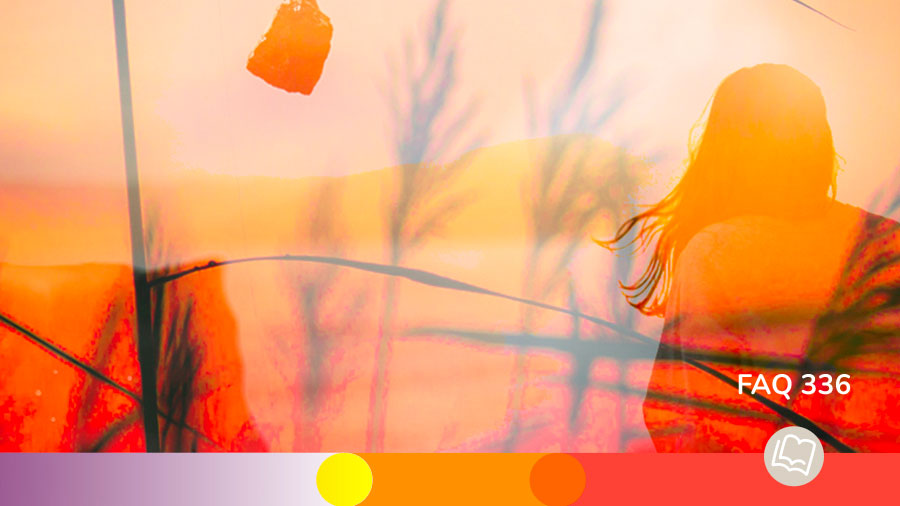 FAQ 336 - La  femme adultère pardonnée 