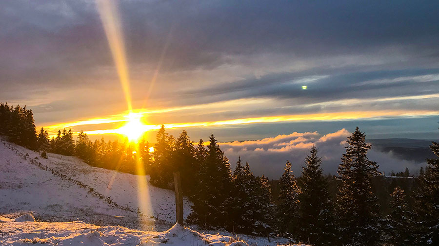01 25 mdm L'affaire du Roi est pressante !
