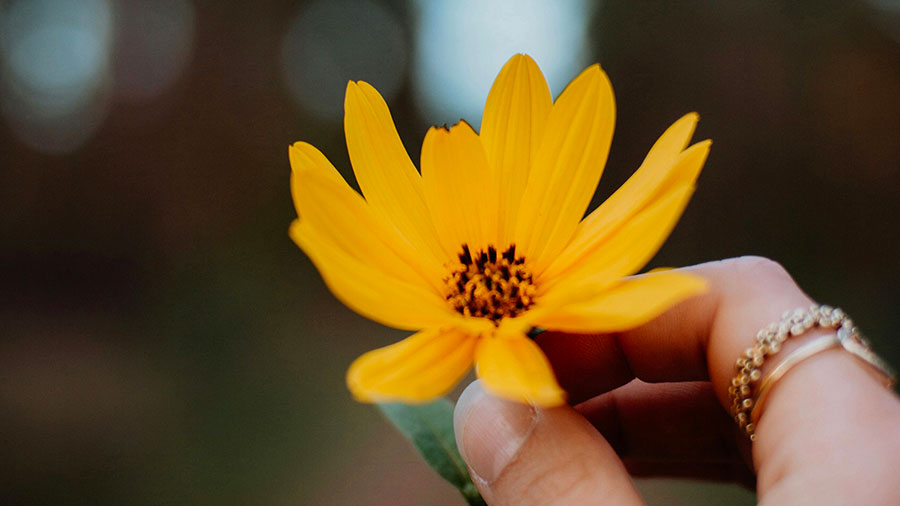 02 14 mdm Ayez les sentiments de Christ