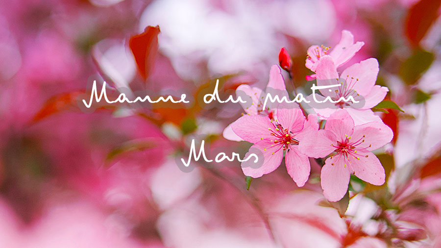 Manne Du Matin - Mars