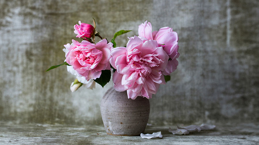 03 09 mdm Le service du sanctuaire