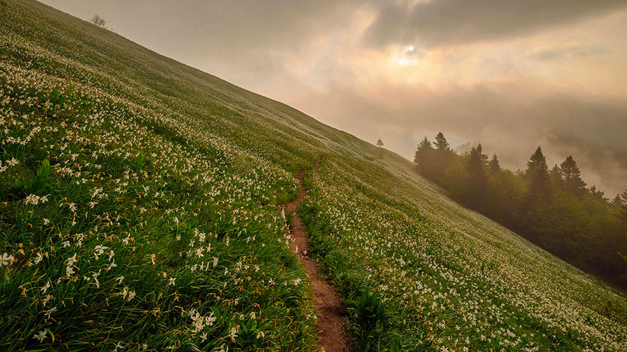 03 19 mdm Venez à l'autel du Sauveur