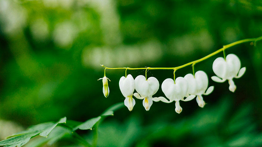 05 10 mdm Mettons Sa Parole dans notre coeur