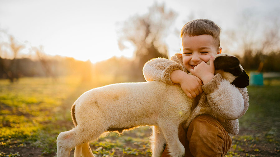 06 14 mdm La brebis perdue