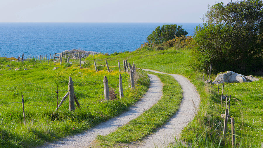 07 05 mdm Le sentier des justes