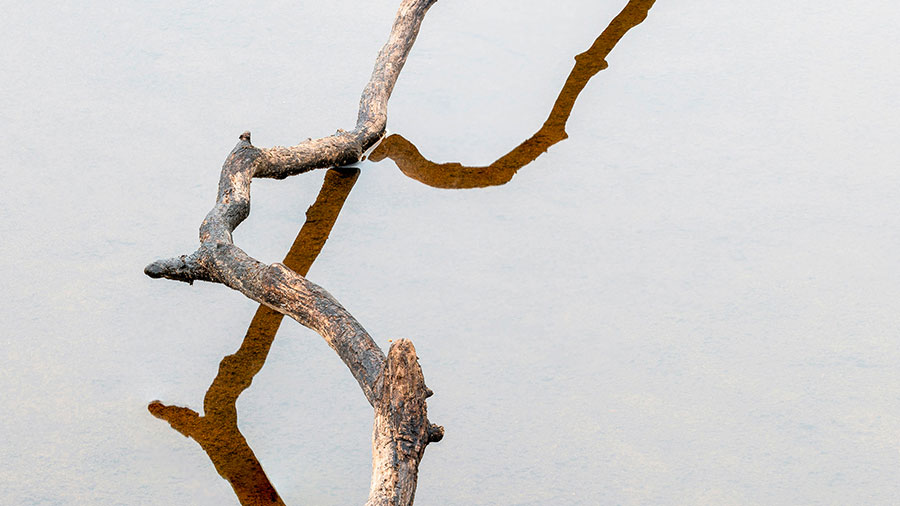 07 15 mdm L'amertume 