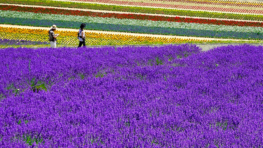 07 27 mdm Si deux, seulement deux!