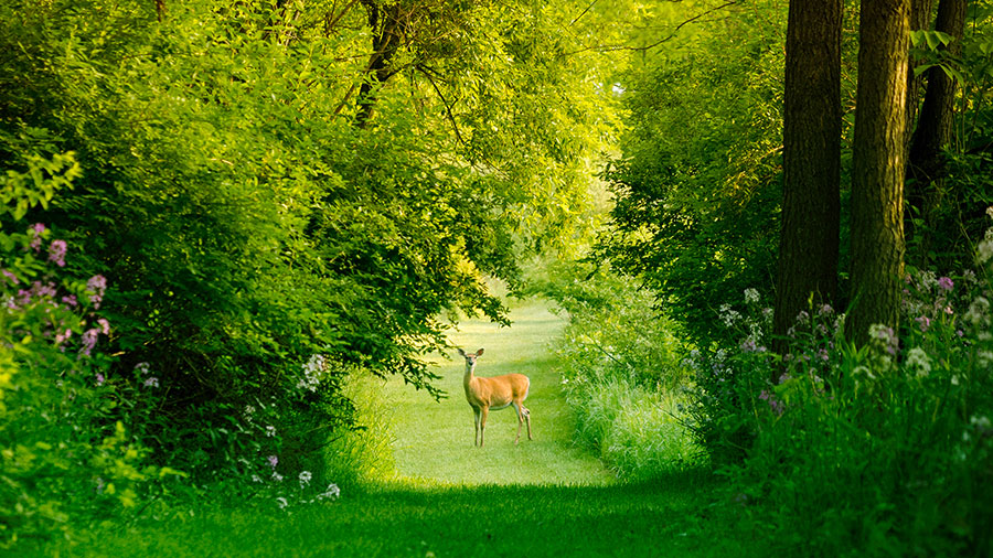 08 01 mdm Faire route avec Jésus