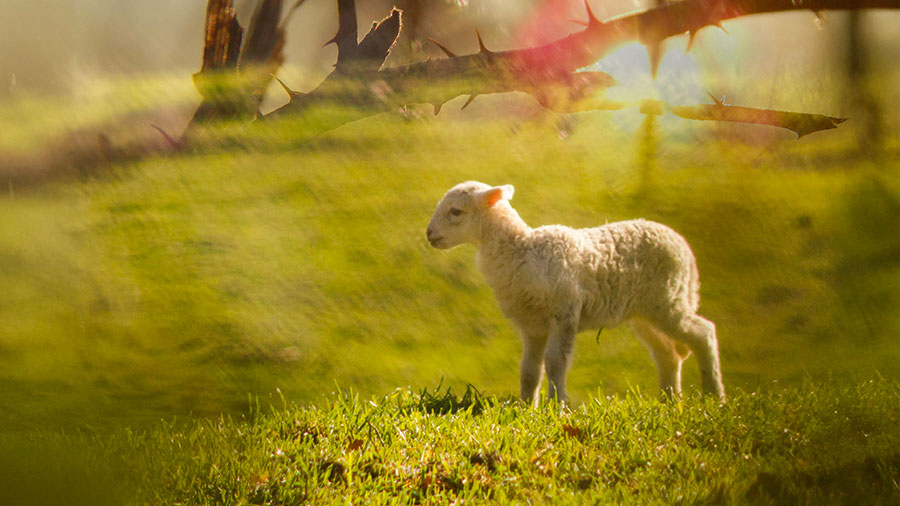 08 12 mdm Si vous souffrez, n'en parlez pas!