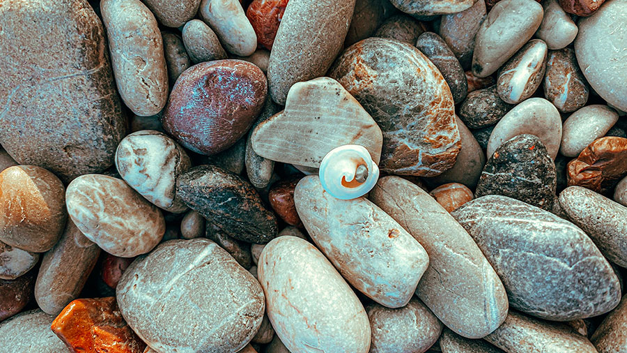 08 20 mdm Pierres vivantes