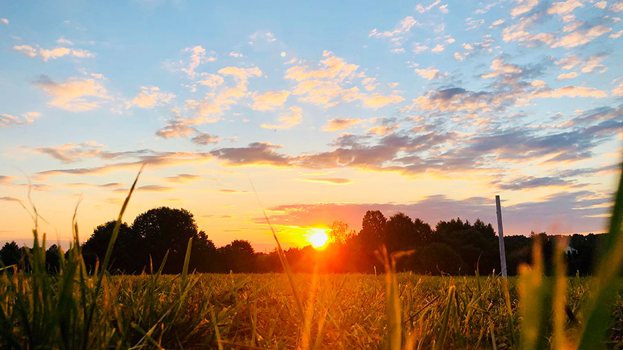 08 27 mdm Oeuvres manifestées