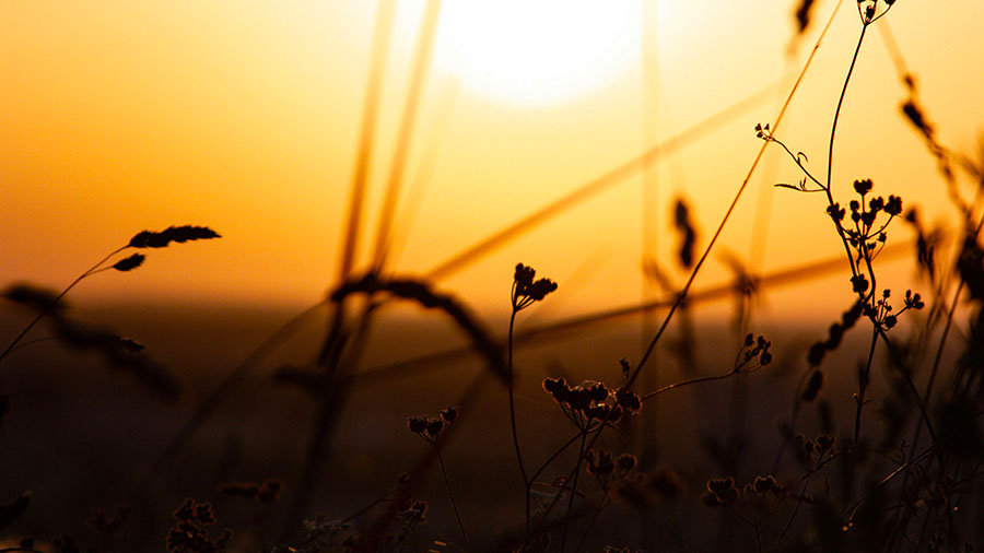 09 03 mdm Appelés à la communion