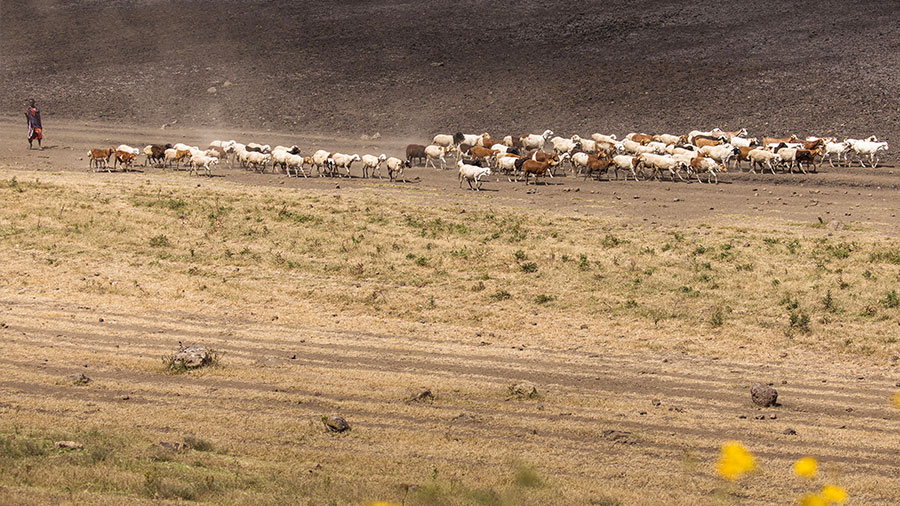 09 11 mdm Jacob marche avec Dieu