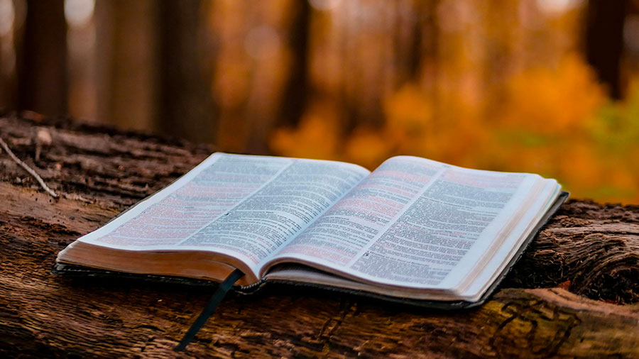 09 20 mdm La Parole de Dieu n'est pas liée