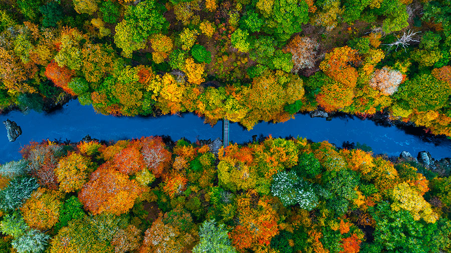 09 28 mdm Faites aux autres...