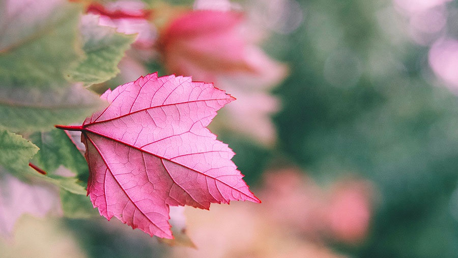 10 01 mdm L'onction du Saint-Esprit 