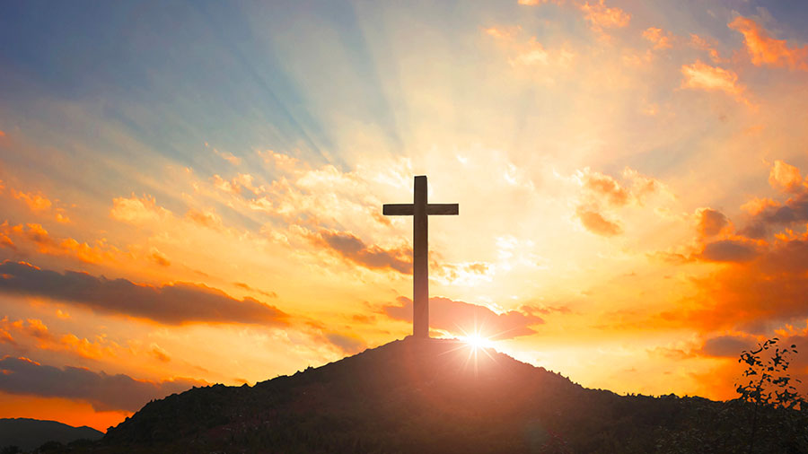 10 02 mdm Un cri de triomphe