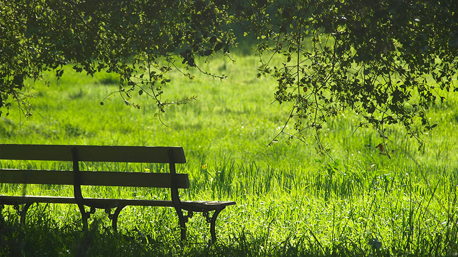 10 04 mdm Venez à moi