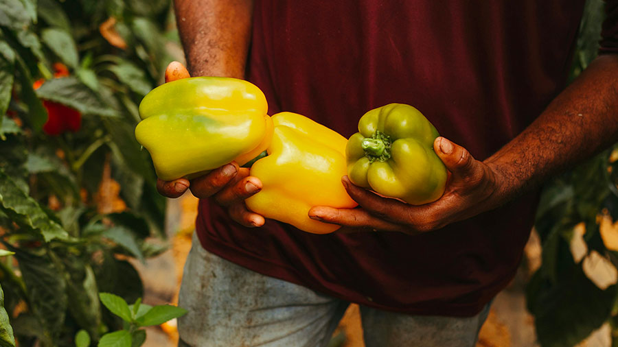 10 07 mdm Obéir en toutes choses