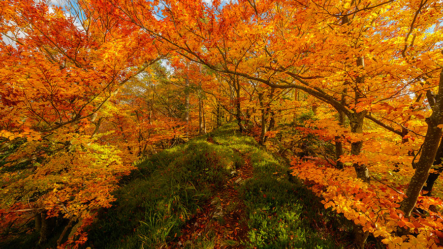 10 08 mdm Dieu nous comble de Ses dons