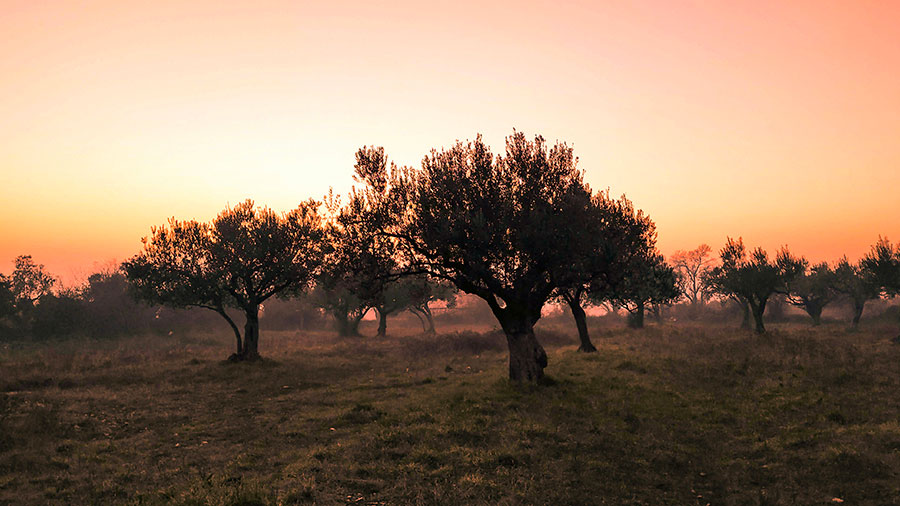10 20 mdm Jésus lui dit: Marie!
