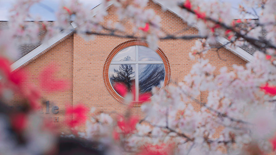 10 27 mdm La croix et notre jardin