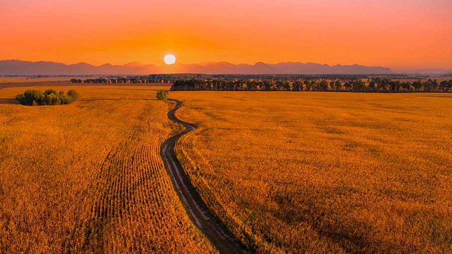 10 29 mdm Le sang de Jésus "parle"