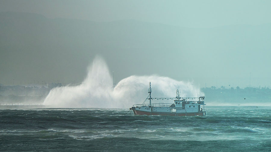 11 05 mdm Réveillons-nous!