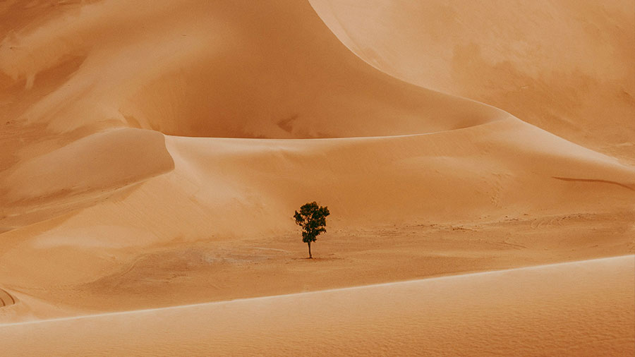 11 10 mdm C'est là le miracle!