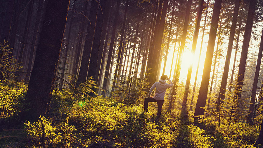 11 11 mdm Le fils désobéissant