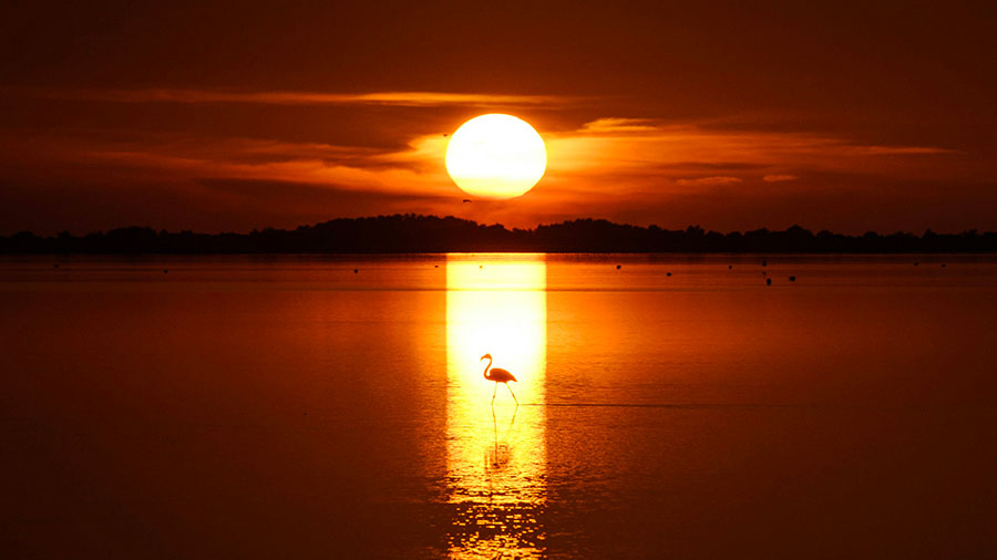 11 22 mdm "Je sais déjà!"