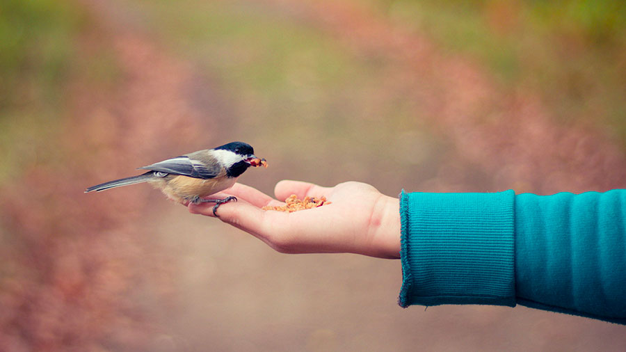 12 13 mdm La bonté de Dieu