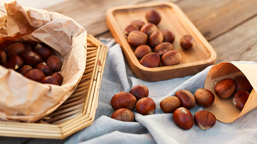 12 22 mdm La parabole du semeur