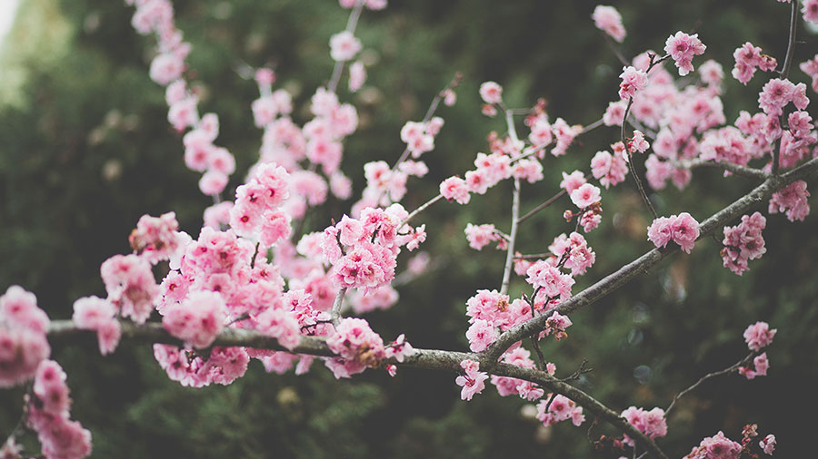 Histoire de confiance