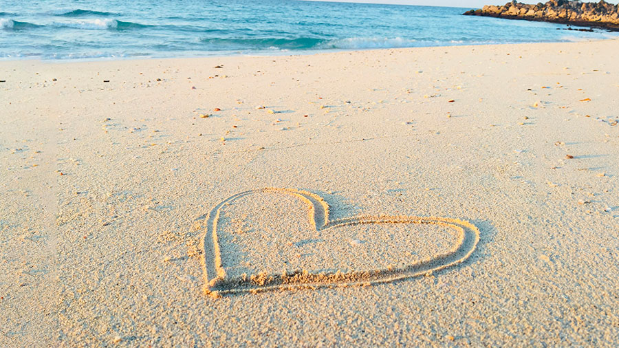 Une perle dans la Bible  8