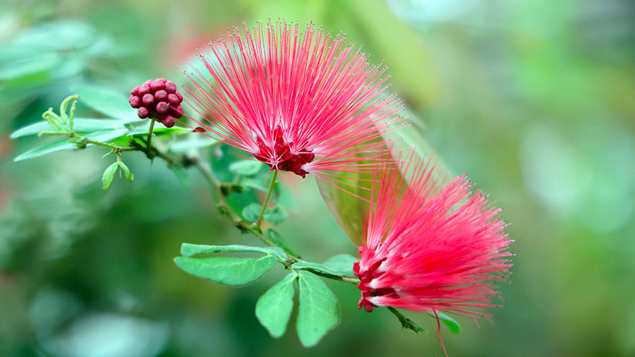 Quelle foi pour aujourdhui