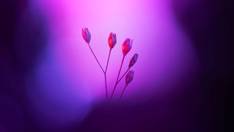 Sinceres condoleances