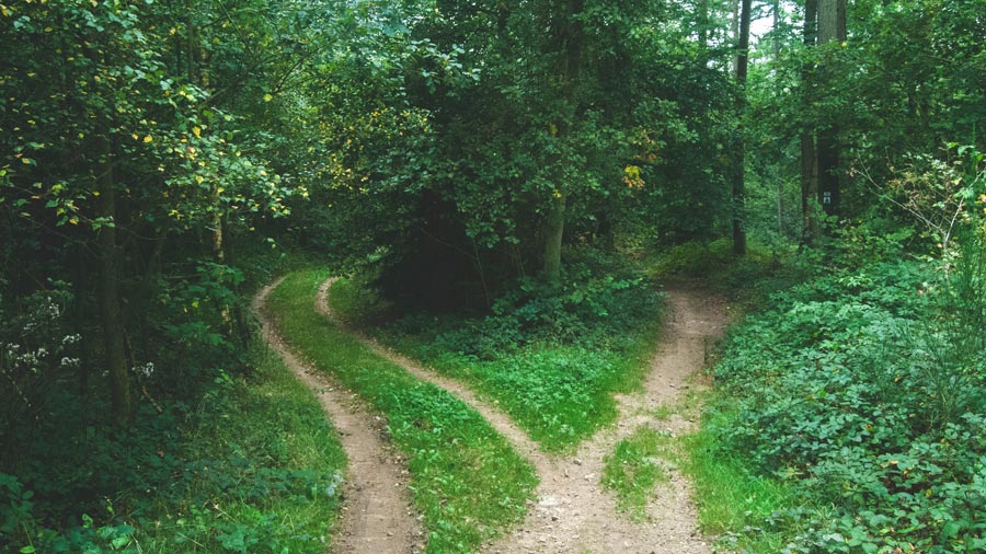 Le jeûne dans la Bible