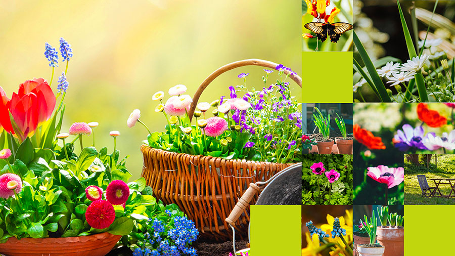 Un jardin extraordinaire