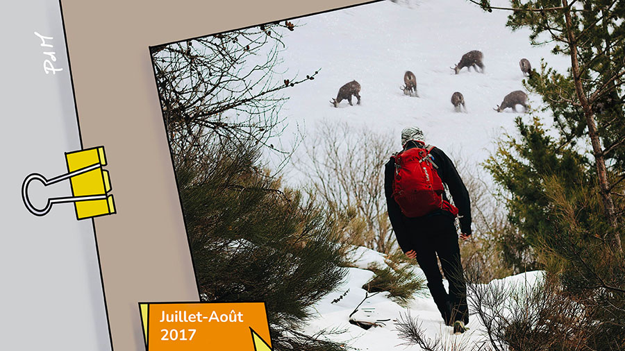 La possibilité d’une rencontre...  - pensée du mois - homme marchant vers des chamoix