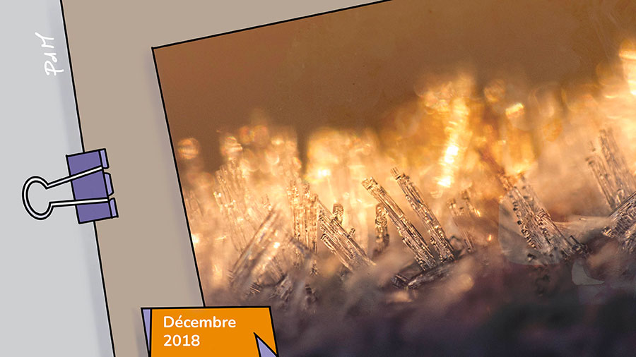 lumiere & transparence... - pensée du mois - des cristaux jaunes