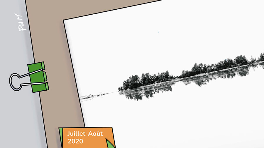 07) Paradoxe des oublis - paysage gris-blanc avec des petits buissons qui se reflètent dans l'eau