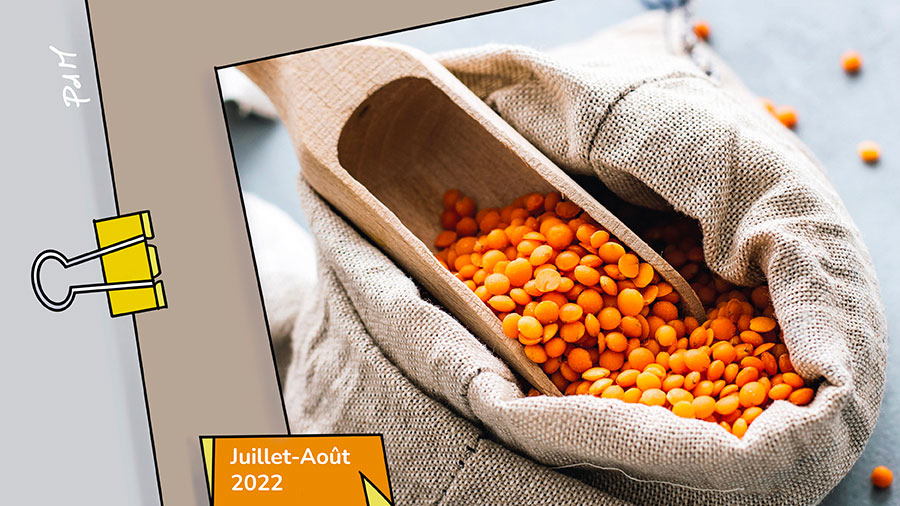 Semer et moudre, les verbes de l’été - Des grains de lentille dans un sac en jute