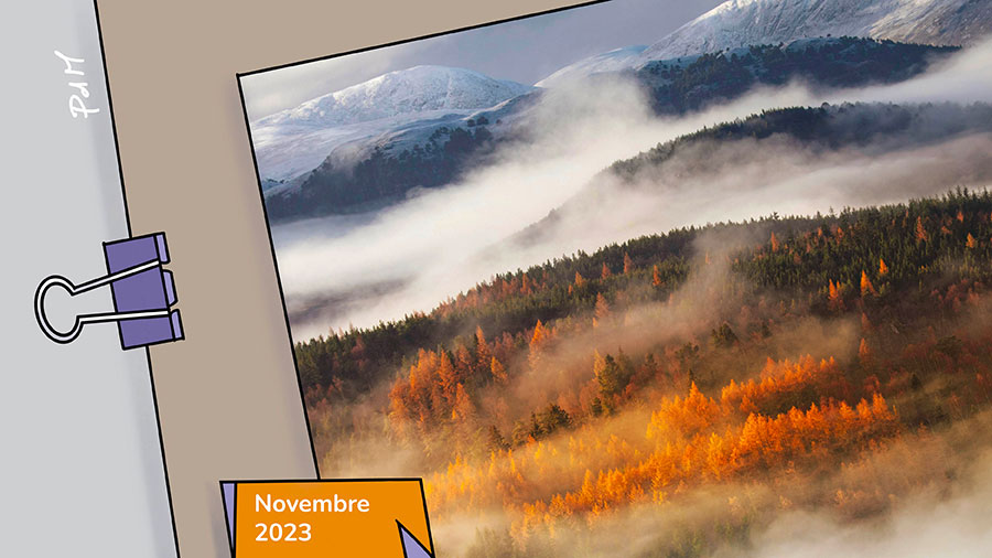 Automne, mélancolie - Forêt automnale, chute d'eau