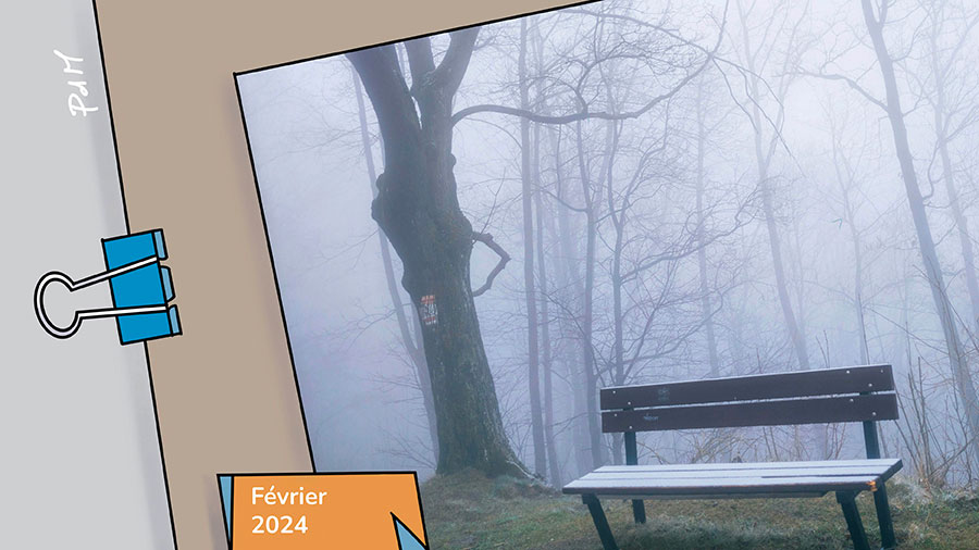 desespoir - un banc dans le froid et le broillard