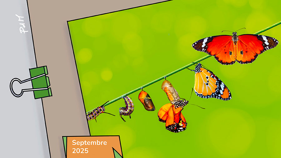 Septembre - Métamorphose...