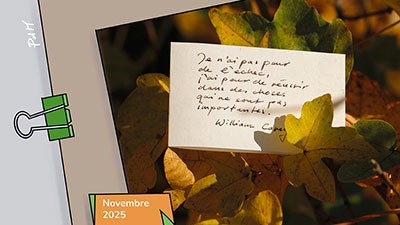 Novembre - Échec et réussite...